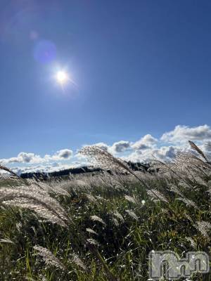 ��ˬ����Х��顦����֥���� �ץ���� ��ˬ(����� �ץ���� ����) �� �Ӽ���9��24���̥�֥�����🌾🍂��