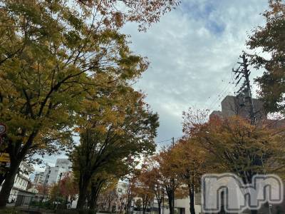 ��ˬ����Х��顦����֥���� �ץ���� ��ˬ(����� �ץ���� ����) �� �Ӽ���11��19���̥�֥�����11��19�� 18��30ʬ�Υ֥�����