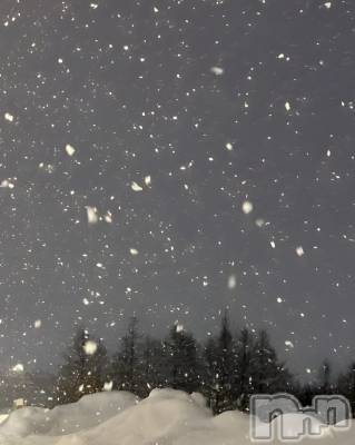 ��ˬ����Х��顦����֥���� �ץ���� ��ˬ(����� �ץ���� ����) �� �Ӽ���12��10���̥�֥�����🌲❄️��