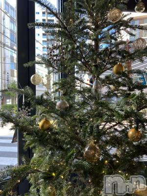 ��ˬ����Х��顦����֥���� �ץ���� ��ˬ(����� �ץ���� ����) �� �Ӽ���12��17���̥�֥�����🎄‎🤍��