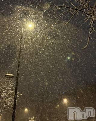 ��ˬ����Х��顦����֥���� �ץ���� ��ˬ(����� �ץ���� ����) �� �Ӽ���3��5���̥�֥�����⛄️🌷��