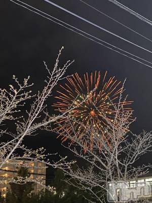 ��ˬ����Х��顦����֥���� �ץ���� ��ˬ(����� �ץ���� ����) �� �Ӽ���4��9���̥�֥�����✨🎆��