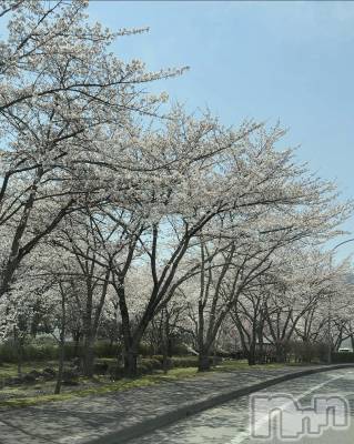 ��ˬ����Х��顦����֥���� �ץ���� ��ˬ(����� �ץ���� ����) �� �Ӽ���4��18���̥�֥�����🌸️🫧��