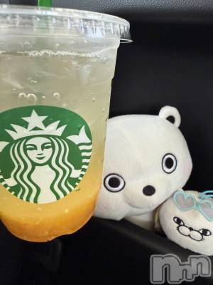 ��ˬ����Х��顦����֥���� �ץ���� ��ˬ(����� �ץ���� ����) �� �Ӽ���5��26���̥�֥�����🍋🥤��