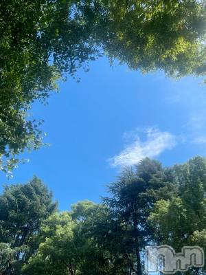 ��ˬ����Х��顦����֥���� �ץ���� ��ˬ(����� �ץ���� ����) �� �Ӽ���6��7���̥�֥�����☀️☁️��