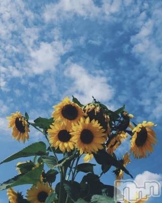 ��ˬ����Х��顦����֥���� �ץ���� ��ˬ(����� �ץ���� ����) �� �Ӽ���6��17���̥�֥�����🌞🔥��