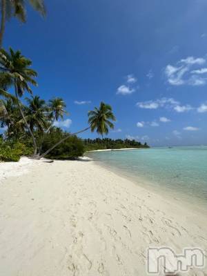 ��ˬ����Х��顦����֥���� �ץ���� ��ˬ(����� �ץ���� ����) �� �Ӽ���7��1���̥�֥�����🌞🌴��