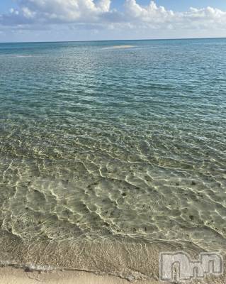 ��ˬ����Х��顦����֥���� �ץ���� ��ˬ(����� �ץ���� ����) �� �Ӽ���8��2���̥�֥�����🐬🏝��