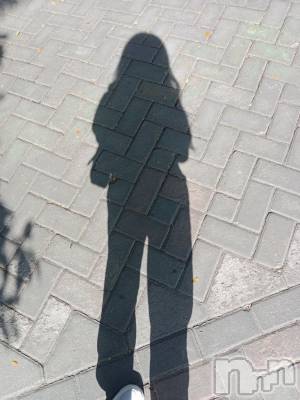 ��ˬ����Х��顦����֥���� �ץ���� ��ˬ(����� �ץ���� ����) �� �Ӽ���9��30���̥�֥�����🐕🍃��