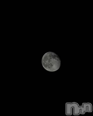 ��ˬ����Х��顦����֥���� �ץ���� ��ˬ(����� �ץ���� ����) �� �Ӽ���10��10���̥�֥�����🌕🤍��