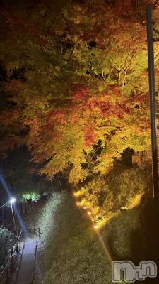 ��ˬ����Х��顦����֥���� �ץ���� ��ˬ(����� �ץ���� ����) �� �Ӽ���11��29���̥�֥�����🍁🌙��