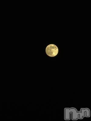 ��ˬ����Х��顦����֥���� �ץ���� ��ˬ(����� �ץ���� ����) �� �Ӽ���12��6���̥�֥�����🌕✨��