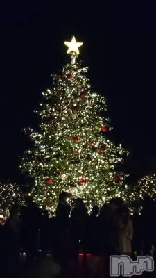 ��ˬ����Х��顦����֥���� �ץ���� ��ˬ(����� �ץ���� ����) �� �Ӽ���12��24���̥�֥�����🎄✨��