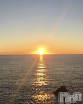 ��ˬ����Х��顦����֥���� �ץ���� ��ˬ(����� �ץ���� ����) �� �Ӽ���1��4���̥�֥�����🎍☀️��