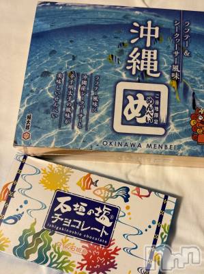 ��ˬ����Х��顦����֥���� �ץ���� ��ˬ(����� �ץ���� ����) �� �Ӽ���1��10���̥�֥�����🌺🌴��