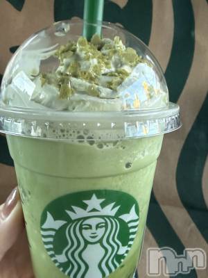 ��ˬ����Х��顦����֥���� �ץ���� ��ˬ(����� �ץ���� ����) �� �Ӽ���1��20���̥�֥�����🍵🌿‬��