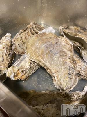 ��ˬ����Х��顦����֥���� �ץ���� ��ˬ(����� �ץ���� ����) �� �Ӽ���3��4���̥�֥�����🦪💞��