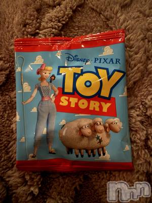 ��ˬ����Х��顦����֥���� �ץ���� ��ˬ(����� �ץ���� ����) �� �Ӽ���4��22���̥�֥�����🧸🦖��