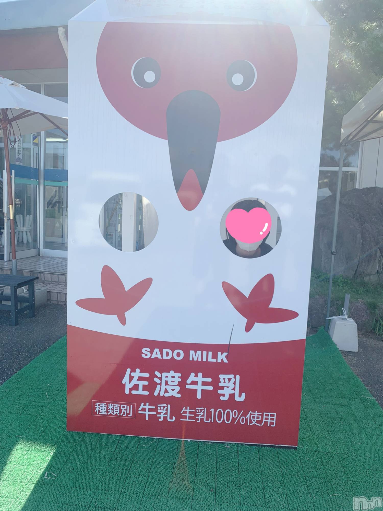 新潟デリヘル新潟デリヘル倶楽部(ニイガタデリヘルクラブ)ひまり(21)の2024年8月20日写メブログ「ひまりを探せ！」