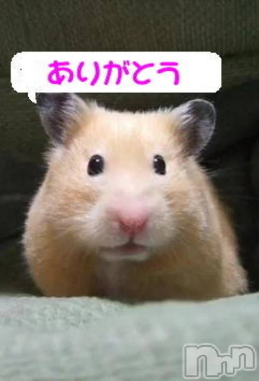 新潟デリヘル熟女の風俗 最終章(ジュクジョノフウゾクサイシュウショウ) まこ(47)の12月14日写メブログ「今日と明日の予約」