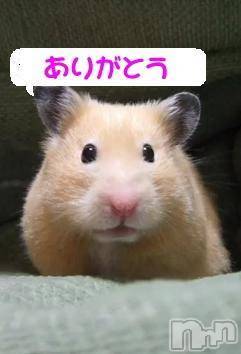 新潟人妻デリヘル熟女の風俗 最終章(ジュクジョノフウゾクサイシュウショウ)まこ(47)の2025年1月23日写メブログ「またまた」