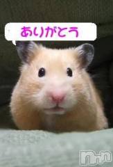 新潟デリヘル熟女の風俗 最終章(ジュクジョノフウゾクサイシュウショウ) まこ(47)の1月23日写メブログ「またまた」