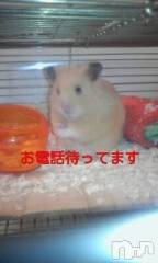 新潟デリヘル熟女の風俗 最終章(ジュクジョノフウゾクサイシュウショウ) まこ(47)の10月14日写メブログ「おはようございます」