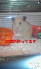 新潟デリヘル熟女の風俗 最終章(ジュクジョノフウゾクサイシュウショウ) まこ(47)の12月16日写メブログ「出勤します」