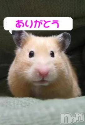 新潟デリヘル 熟女の風俗 最終章(ジュクジョノフウゾクサイシュウショウ) まこ(47)の12月14日写メブログ「今日と明日の予約」