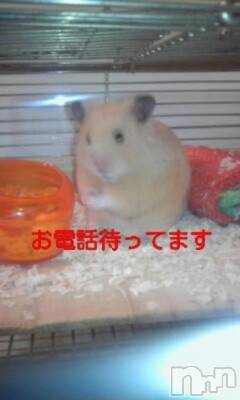 新潟デリヘル 熟女の風俗 最終章(ジュクジョノフウゾクサイシュウショウ) まこ(47)の12月16日写メブログ「出勤します」