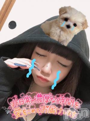 長岡デリヘル 奥様特急 長岡店(オクサマトッキュウナガオカテン) なぐも(30)の12月12日写メブログ「ゴロゴロ⚡️」