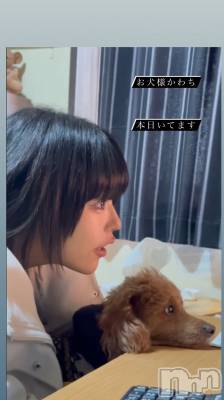 ƲХ顦K-Lounge(饦) 쥤(19)1210̥֥֤ޤ