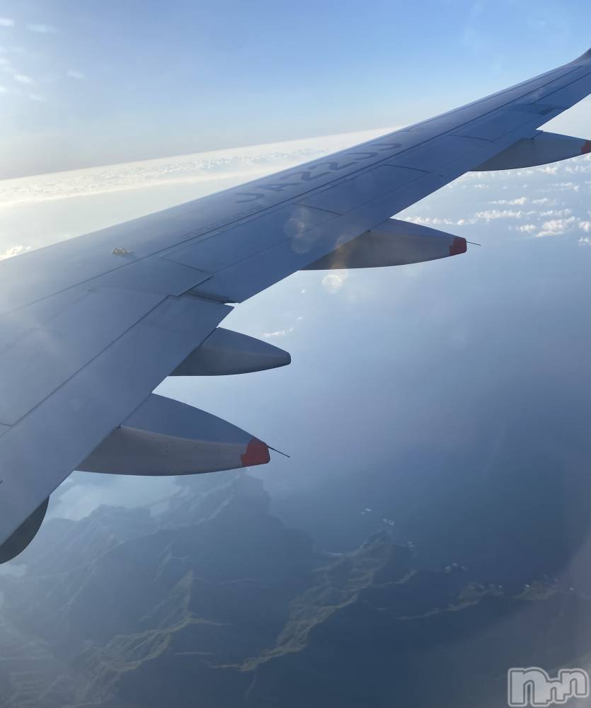 ��ˬ����Х��顦����֥���� �ץ���� ��ˬ(����� �ץ���� ����) �ϰ� �椺���6��20���̥�֥�����🩵��