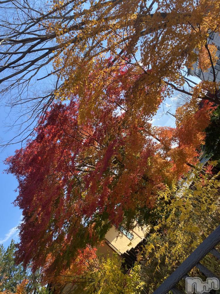 ��ˬ����Х��顦����֥���� �ץ���� ��ˬ(����� �ץ���� ����) �ϰ� �椺���9��12���̥�֥�����🧡��