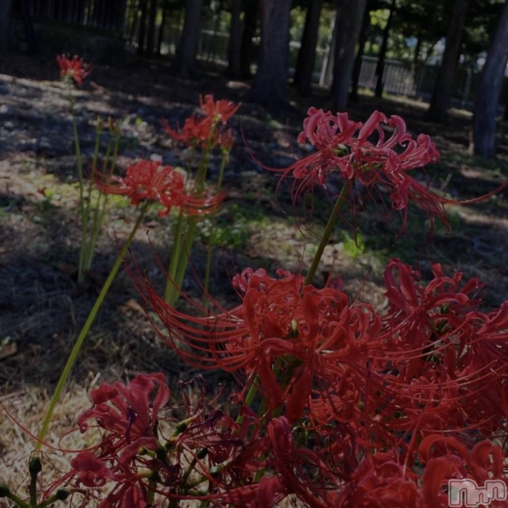 ��ˬ����Х��顦����֥���� �ץ���� ��ˬ(����� �ץ���� ����) �ϰ� �椺���9��13���̥�֥�����❤️��