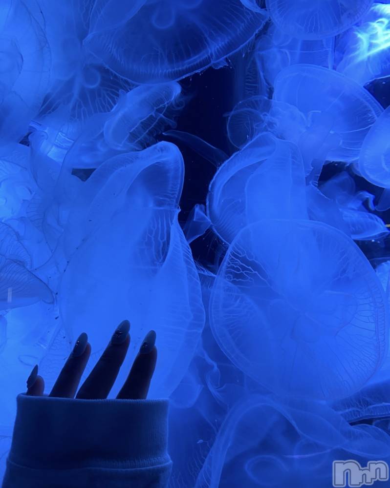 ��ˬ����Х��顦����֥���� �ץ���� ��ˬ(����� �ץ���� ����) �ϰ� �椺���9��17���̥�֥�����🩵��