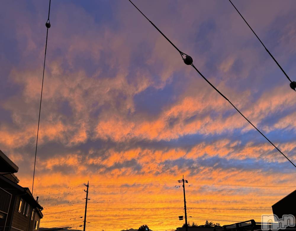 ��ˬ����Х��顦����֥���� �ץ���� ��ˬ(����� �ץ���� ����) �ϰ� �椺���9��25���̥�֥�����🧡��