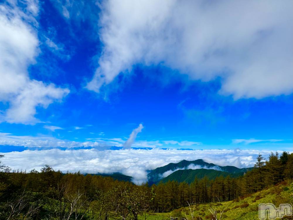 ��ˬ����Х��顦����֥���� �ץ���� ��ˬ(����� �ץ���� ����) �ϰ� �椺���10��8���̥�֥�����🩵��