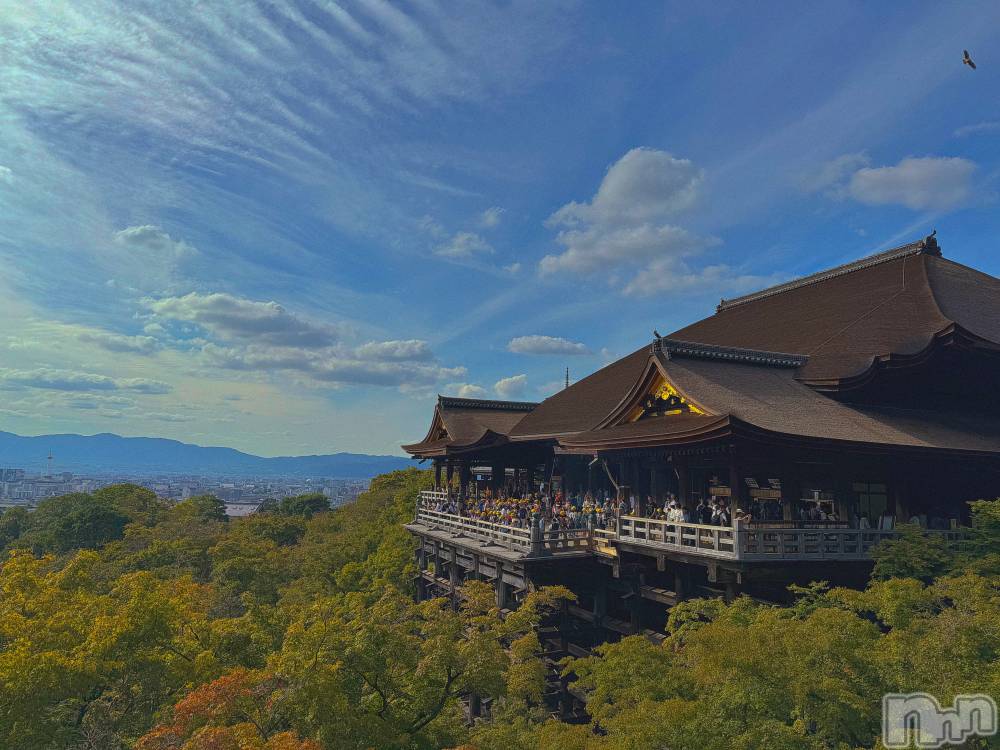 ��ˬ����Х��顦����֥���� �ץ���� ��ˬ(����� �ץ���� ����) �ϰ� �椺���10��18���̥�֥�����🧡��