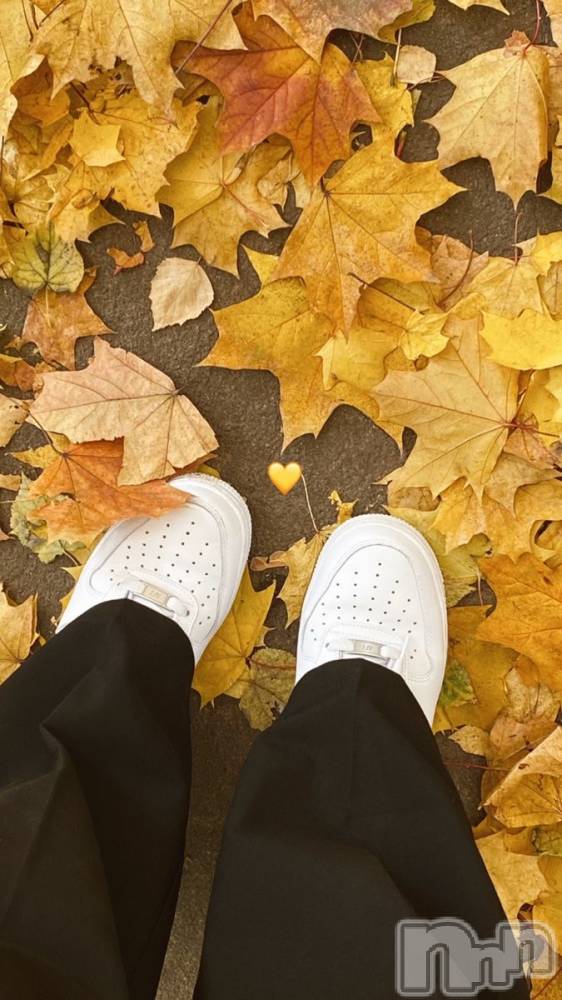 ��ˬ����Х��顦����֥���� �ץ���� ��ˬ(����� �ץ���� ����) �ϰ� �椺���10��29���̥�֥�����💛��