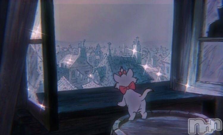 ��ˬ����Х��顦����֥���� �ץ���� ��ˬ(����� �ץ���� ����) �ϰ� �椺���11��26���̥�֥�����💗��