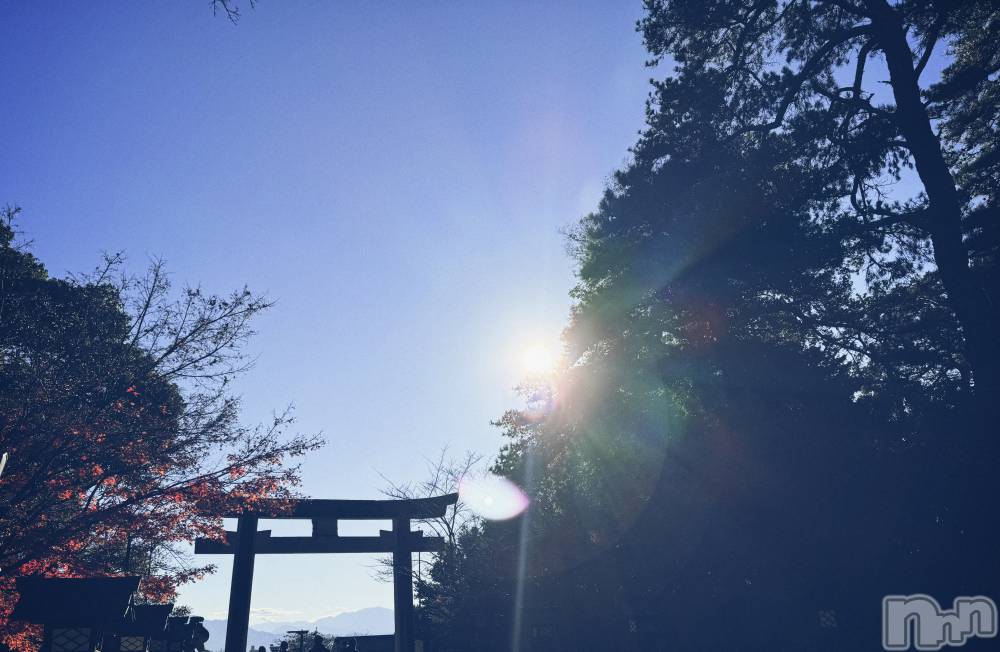 ��ˬ����Х��顦����֥���� �ץ���� ��ˬ(����� �ץ���� ����) �ϰ� �椺���12��12���̥�֥�����🩵��