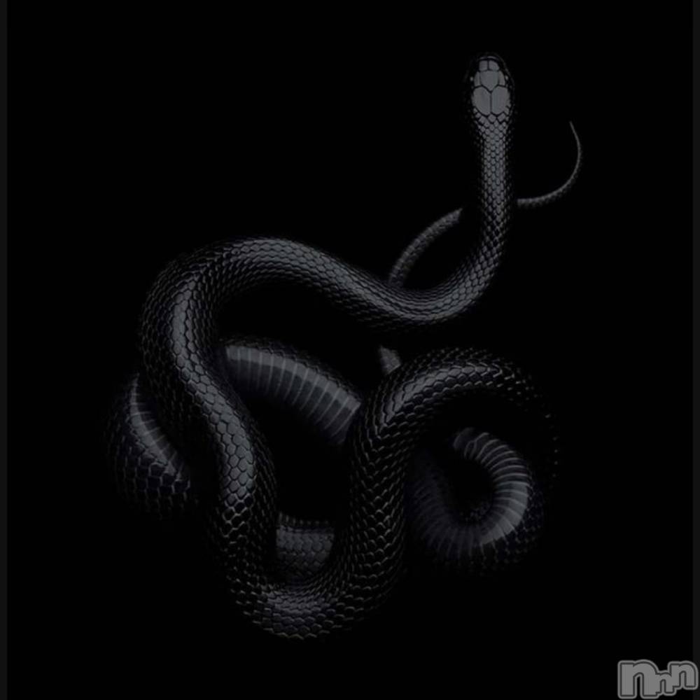 ��ˬ����Х��顦����֥���� �ץ���� ��ˬ(����� �ץ���� ����) �ϰ� �椺���1��3���̥�֥�����🖤��