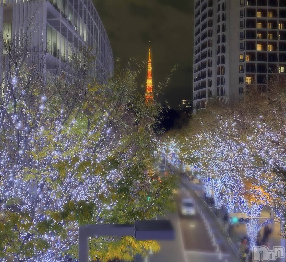 ��ˬ����Х��顦����֥���� �ץ���� ��ˬ(����� �ץ���� ����) �ϰ� �椺���2��1���̥�֥�����🩵��