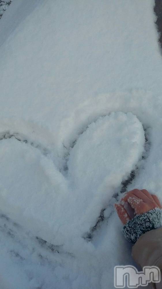 ��ˬ����Х��顦����֥���� �ץ���� ��ˬ(����� �ץ���� ����) �ϰ� �椺���2��4���̥�֥�����🤍��