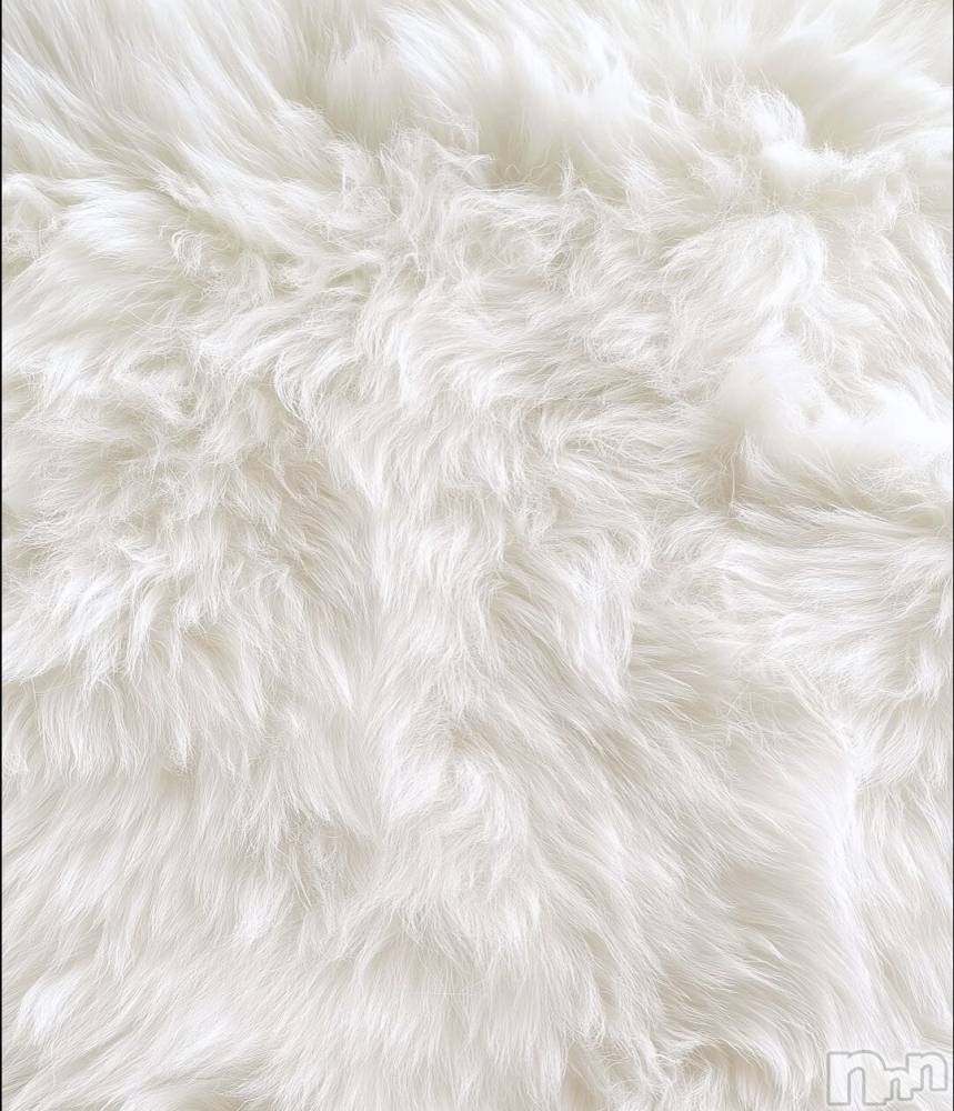 ��ˬ����Х��顦����֥���� �ץ���� ��ˬ(����� �ץ���� ����) �ϰ� �椺���3��15���̥�֥�����🤍��