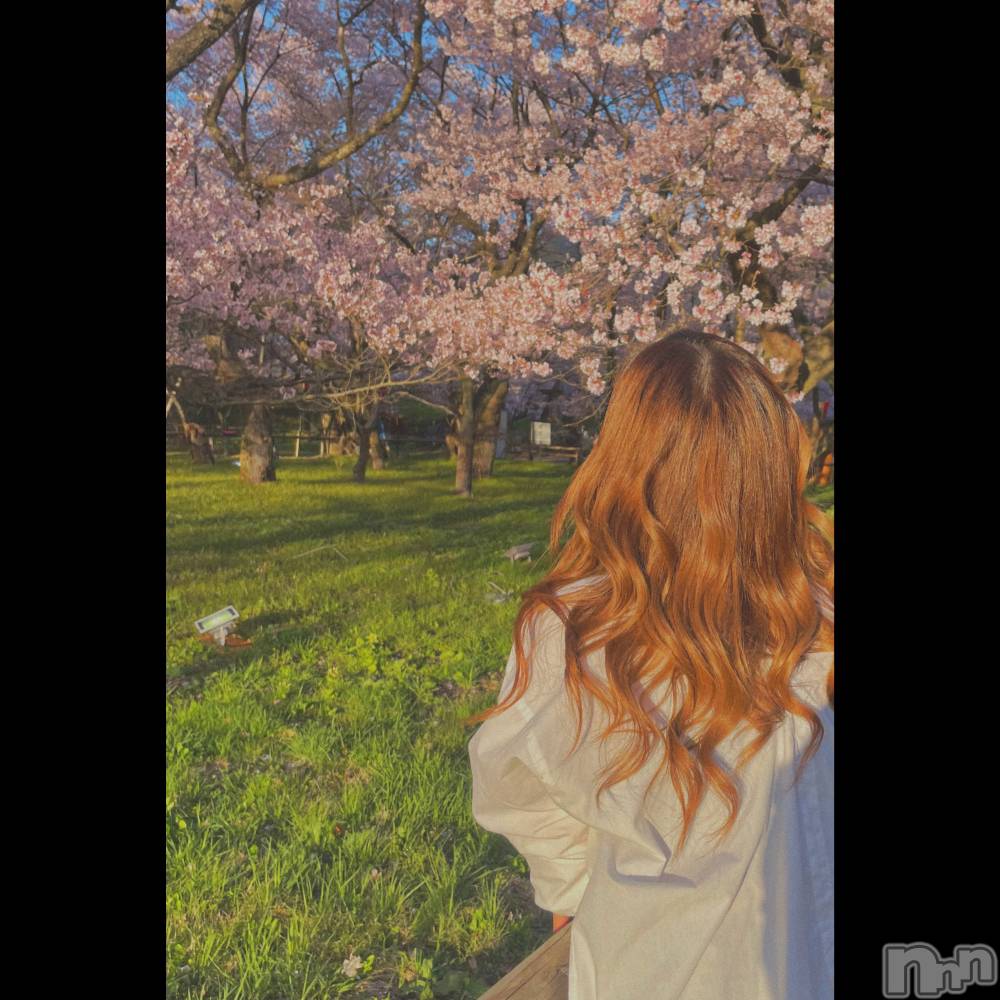 ��ˬ����Х��顦����֥���� �ץ���� ��ˬ(����� �ץ���� ����) �ϰ� �椺���4��17���̥�֥�����🩷��