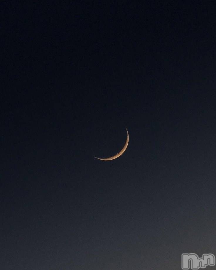 ��ˬ����Х��顦����֥���� �ץ���� ��ˬ(����� �ץ���� ����) �ϰ� �椺���6��6���̥�֥�����🖤��