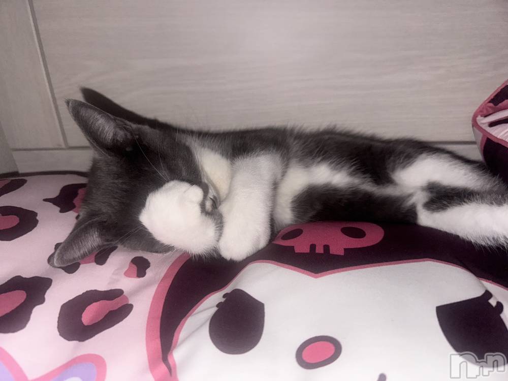 ��ˬ����Х��顦����֥���� �ץ���� ��ˬ(����� �ץ���� ����) �ϰ� �椺���8��27���̥�֥�����🩷��