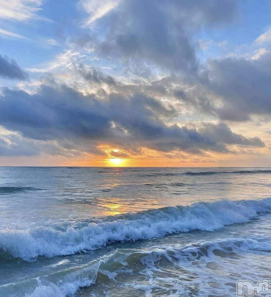 ��ˬ����Х��顦����֥���� �ץ���� ��ˬ(����� �ץ���� ����) �ϰ� �椺���8��28���̥�֥�����🩵��